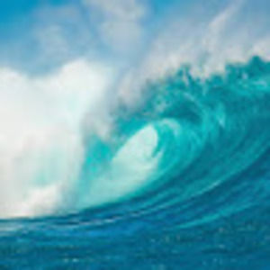 Meet your Posher, Lilly